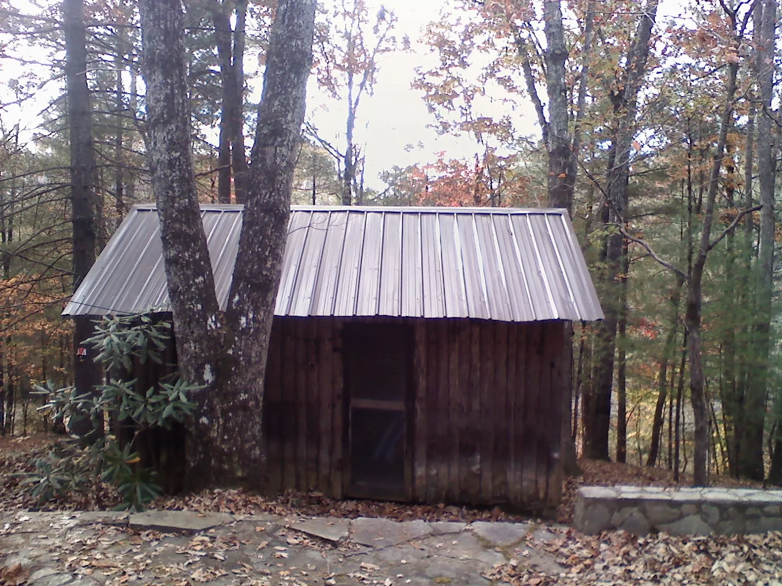 New metal gable roof on a small log shed among the trees in Tabor City